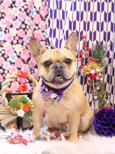 20250129力也くん